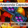 Anaconda Capsule 03